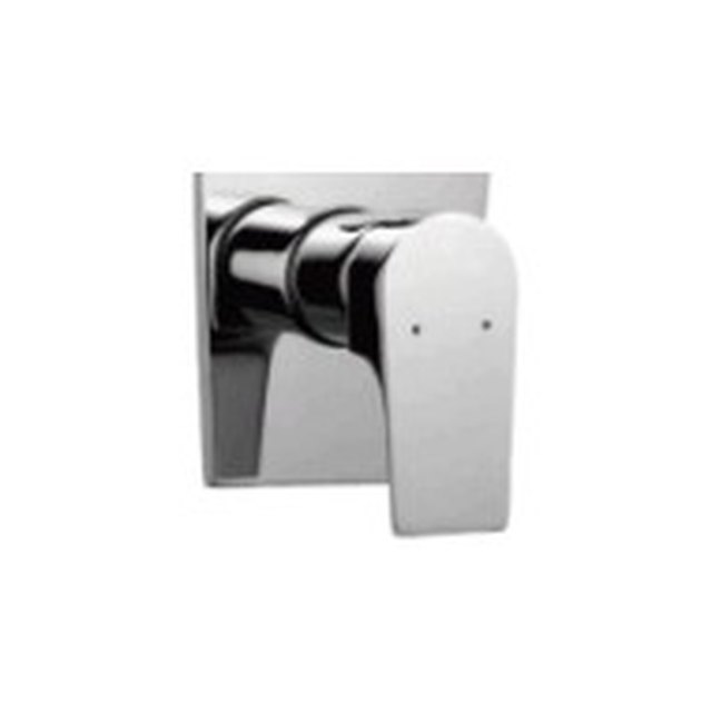 DIVERTERS & SPOUTS